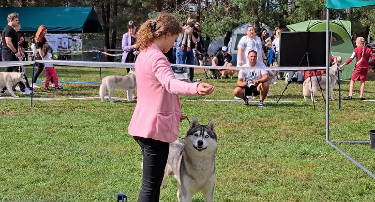 Radawa gościła u siebie psie piękności [ZDJĘCIA]