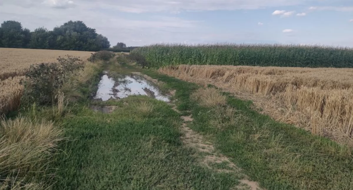 Ulica Kolaniki zapomniana przez władze miasta?