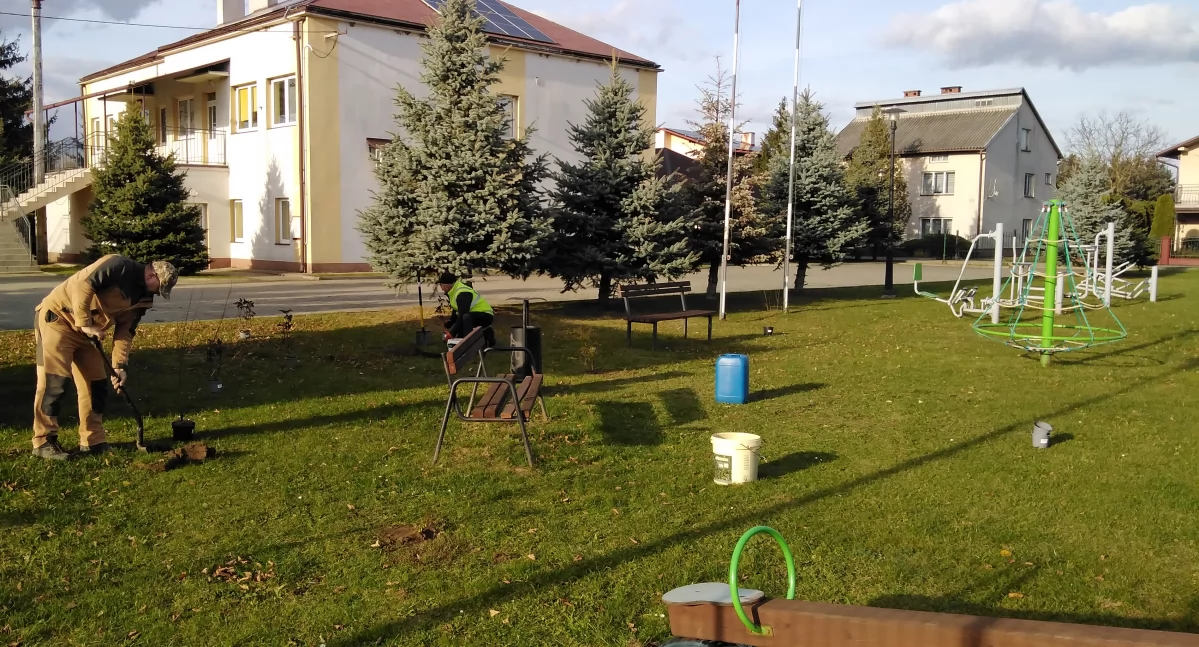 Sieniawa przyjazna pszczołom