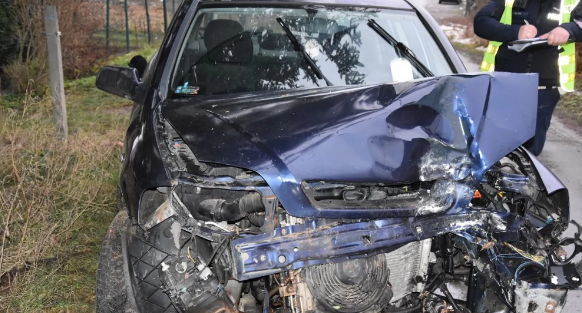 Rozbił auto, uderzając w drzewo