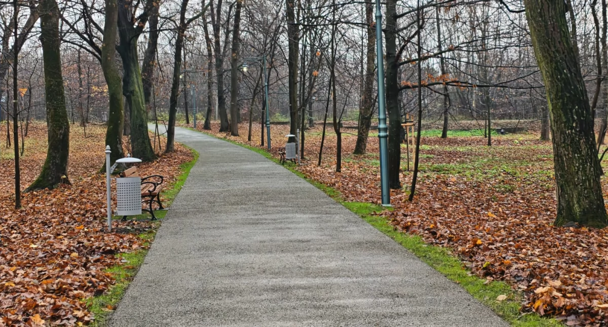 Park dworu Świeżawskich w Ostrowie jak nowy [ZDJĘCIA]