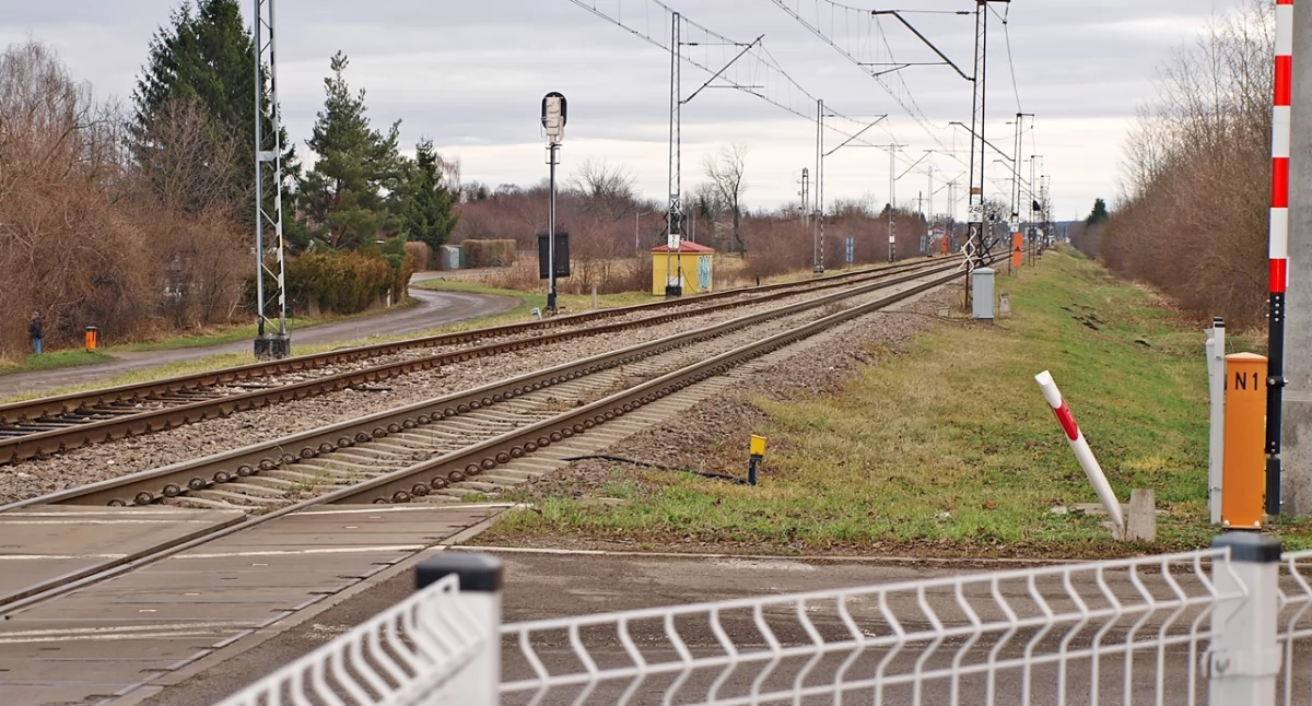 PKP podsumowały rok. Będą kolejne inwestycje