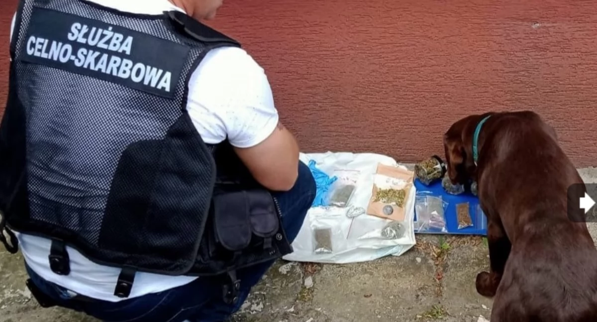KAS rekrutuje do służby. 30 wakatów do obsadzenia 