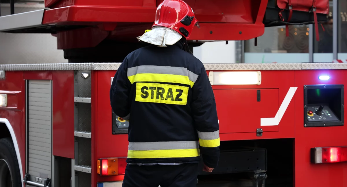 Wypalanie traw to zagrożenie nie tylko dla środowiska 
