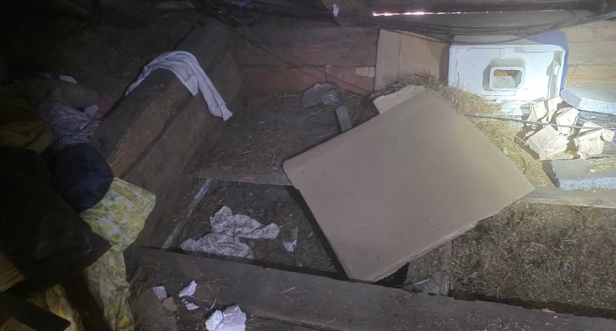 Zabezpieczyli ponad 60 kg narkotyków. Ich czarnorynkowa wartość to ponad 3 mln zł! 