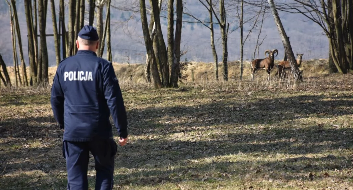 37-latka ostatni raz widziano w styczniu. Szeroko zakrojone poszukiwania doprowadziły do jego odnalezienia w marcu