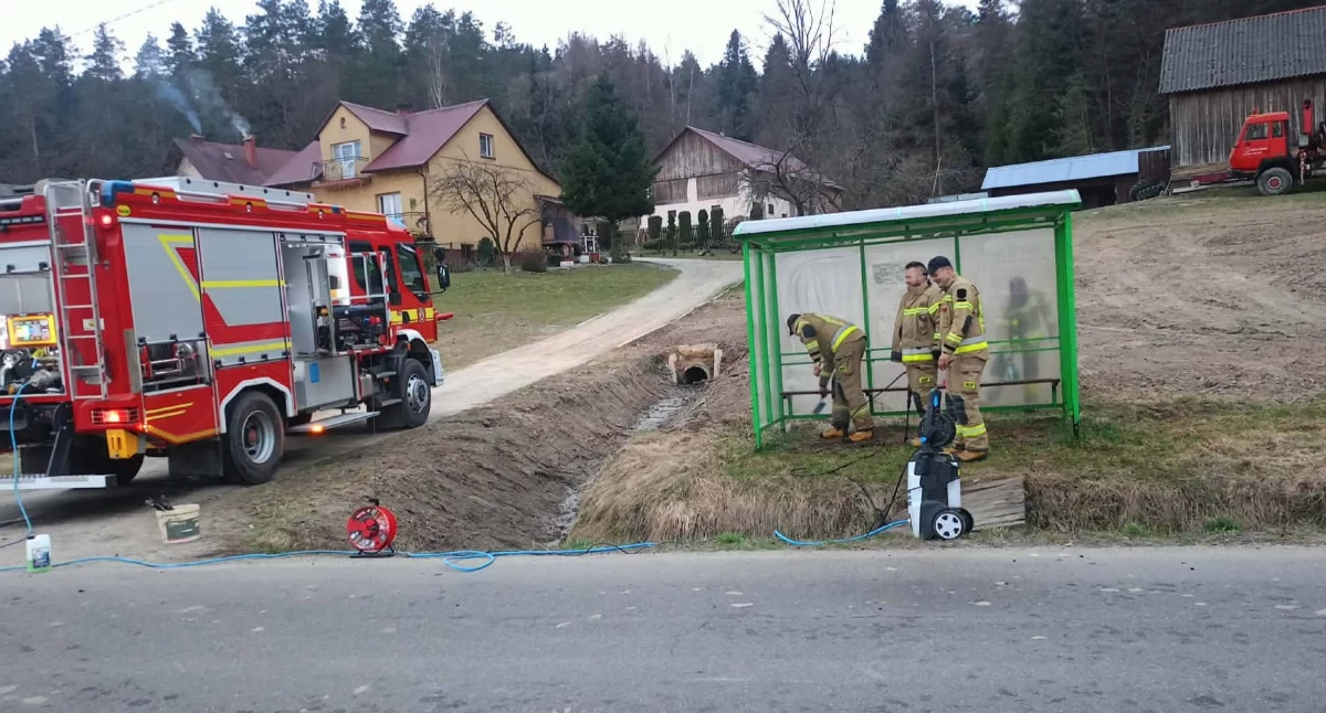 Zatroszczyli się o wspólną przestrzeń. Wielkie społeczne sprzątanie w gminie [ZDJĘCIA]