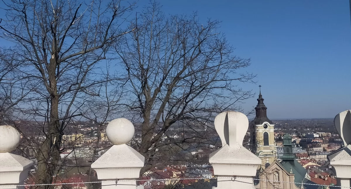 Zaniedbane przemyskie punkty widokowe – urząd miejski reaguje [ZOBACZ ZDJĘCIA]
