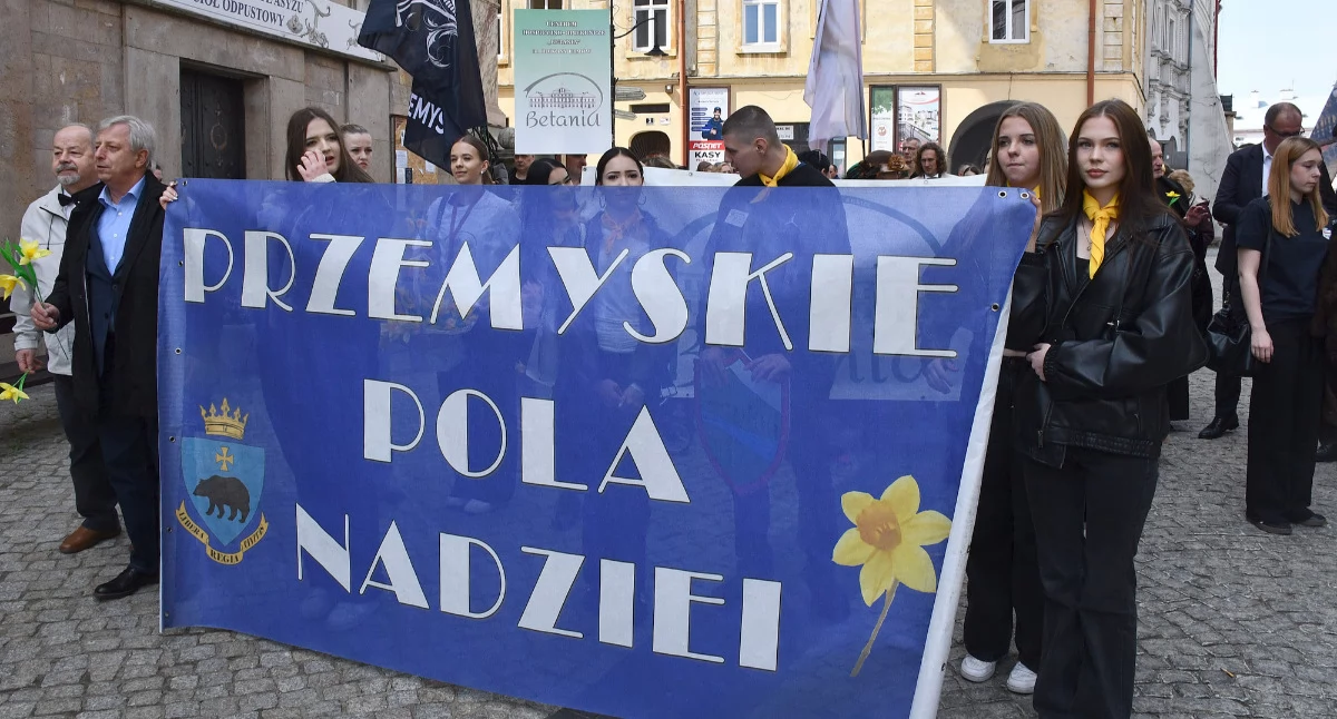 Żonkilowe akcje w Przemyślu i Jarosławiu. Piękny cel i wspaniały odzew mieszkańców! [ZOBACZ ZDJĘCIA]