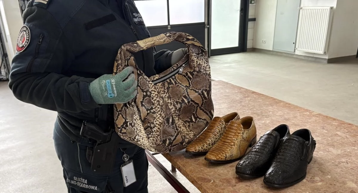 Nielegalne wyroby ze skór pytona i krokodyla