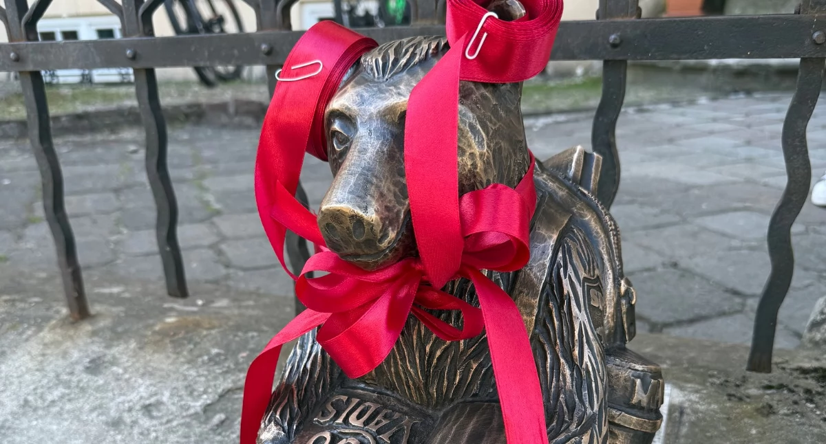 Nowy miś w rodzinie. Poznajcie Henia! [ZDJECIA]