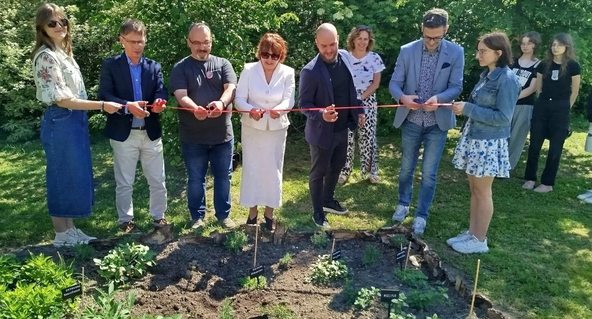Stworzyli przy szkole sad ze starymi odmianami i ogród ziołowy 