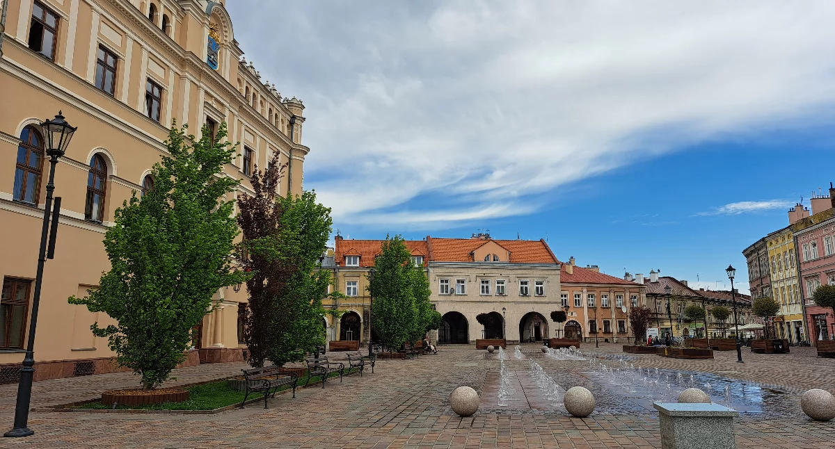 Miasto dzieli kasę na zabytki i szuka konserwatora