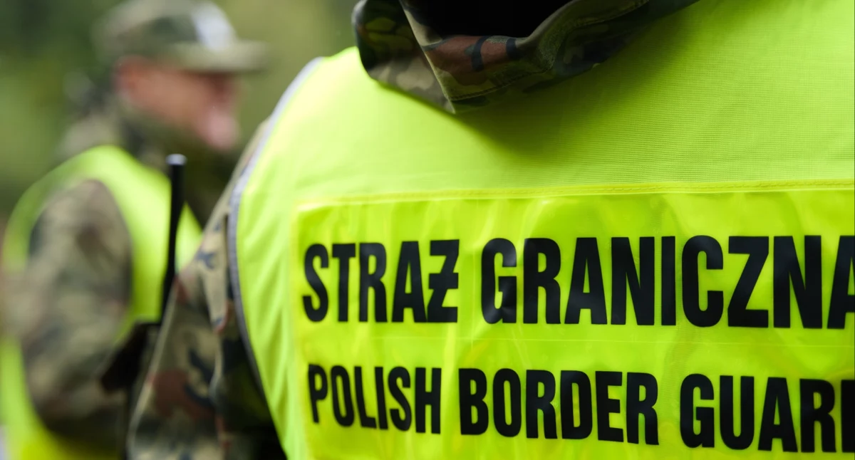 Fałszywka w Medyce