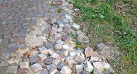 Park miejski coraz bardziej zaniedbany
