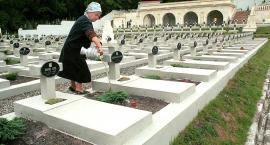 Ruszyły zbiórki zniczy. Jeszcze możesz się przyłączyć
