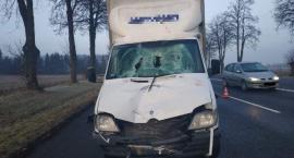 Śmiertelne potrącenie na DK94 w Gwizdaju