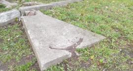 Kotwica niezgody. Jej miejscem jest przystań wodna czy harcerski ośrodek?