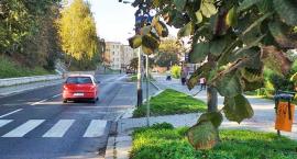 [Sygnały Czytelników:] Niebezpiecznie na przejściu przy ulicy Piłsudskiego