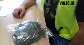 Mieli uprawę na leśnej polanie – grozi im 8 lat paki