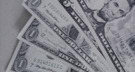 Wykryli ponad 100 tysięcy euro i 17 tys. dolarów