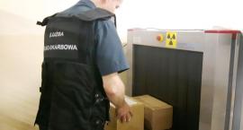Dentystyczno-optyczny przemyt