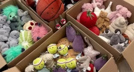 Maskotki Jellycat - którego pluszaka warto wybrać?