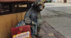 „Na tropie misiów”, czyli patent na zwiedzanie miasta