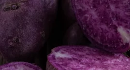 Ube – fioletowy przysmak, który podbija TikToka. Co &hellip;