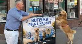 „Butelka pełna nadziei”. Pomóżmy bezdomnym zwierzęto&hellip;