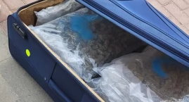 Tysiące dawek narkotyków i psychotropów. Wpadli w… t&hellip;