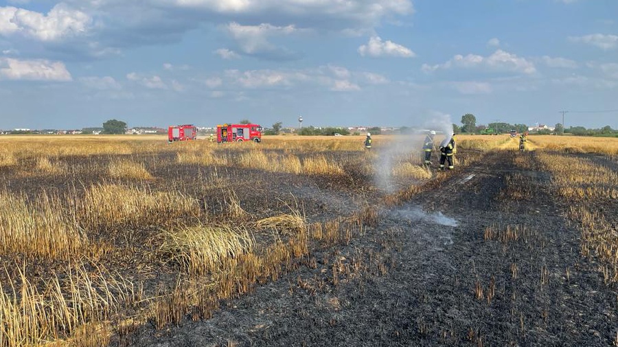 Pożar zboża na pniu
