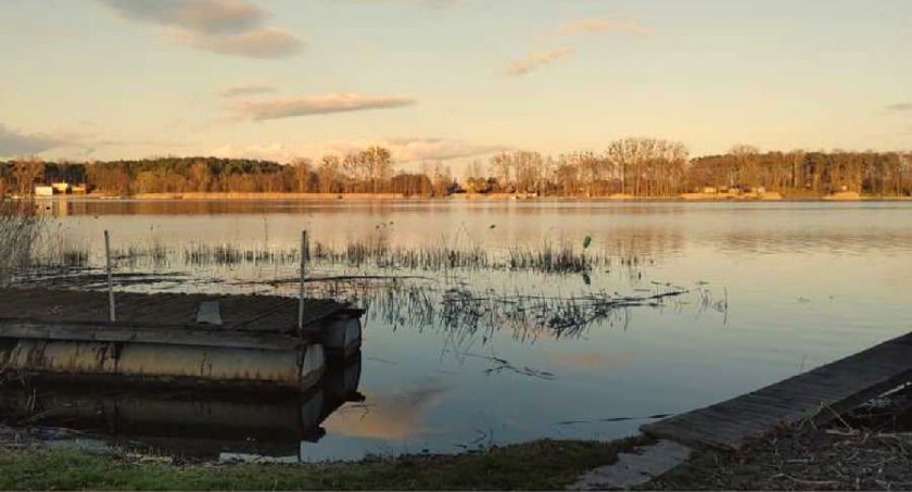 Sinice w Jeziorze Mikorzyńskim 
