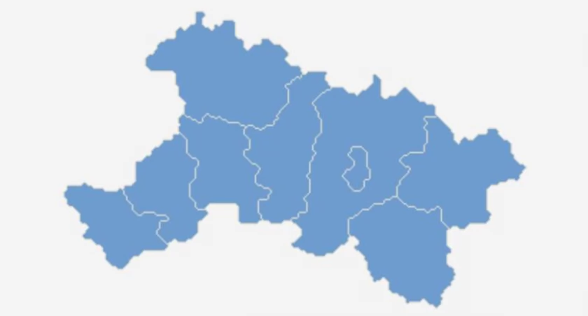 Znane są wyniki z ponad 94% obwodów głosowania 