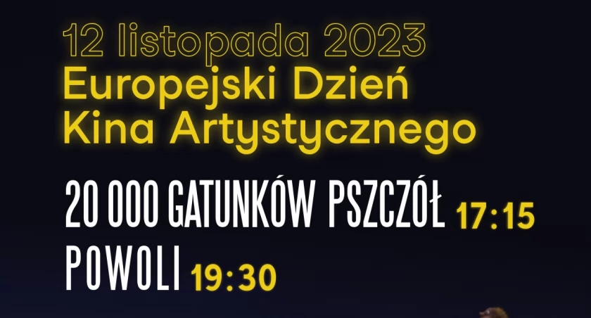 Ósmy Europejski Dzień Kina Artystycznego.