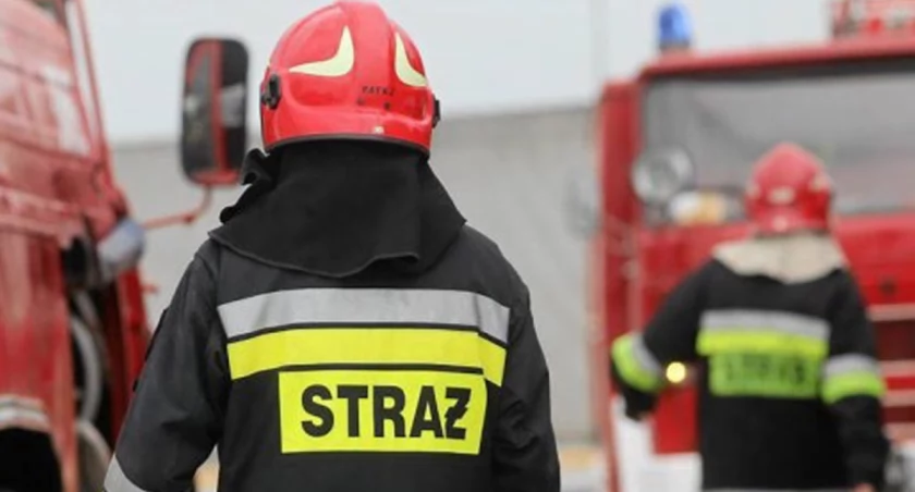12 sztuk bydła padło porażone prądem