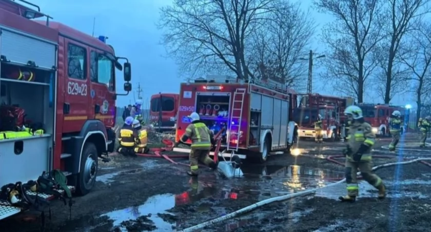 Pożar kurnika w miejscowości Chylin, wewnątrz znajdowało się ok 16 500 piskląt kaczek