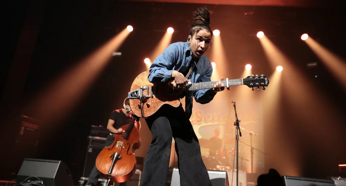 29. Międzynarodowy Festiwal Bluesonalia już za nami 