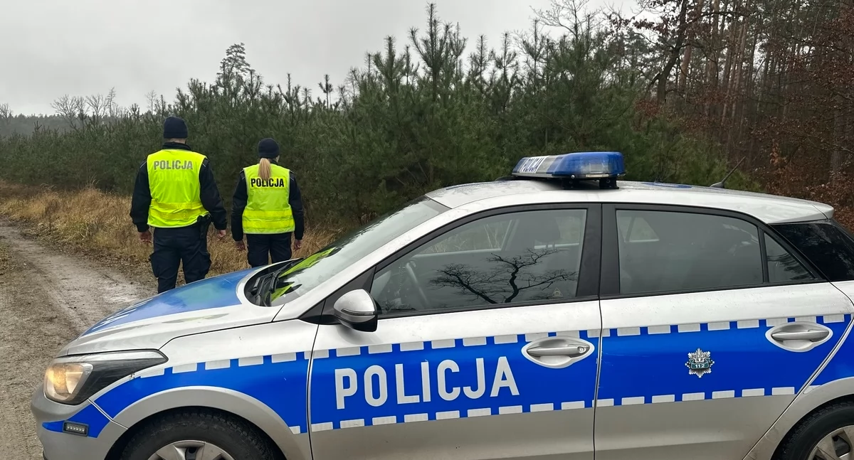 Jeśli choinka to tylko z legalnego źródła!