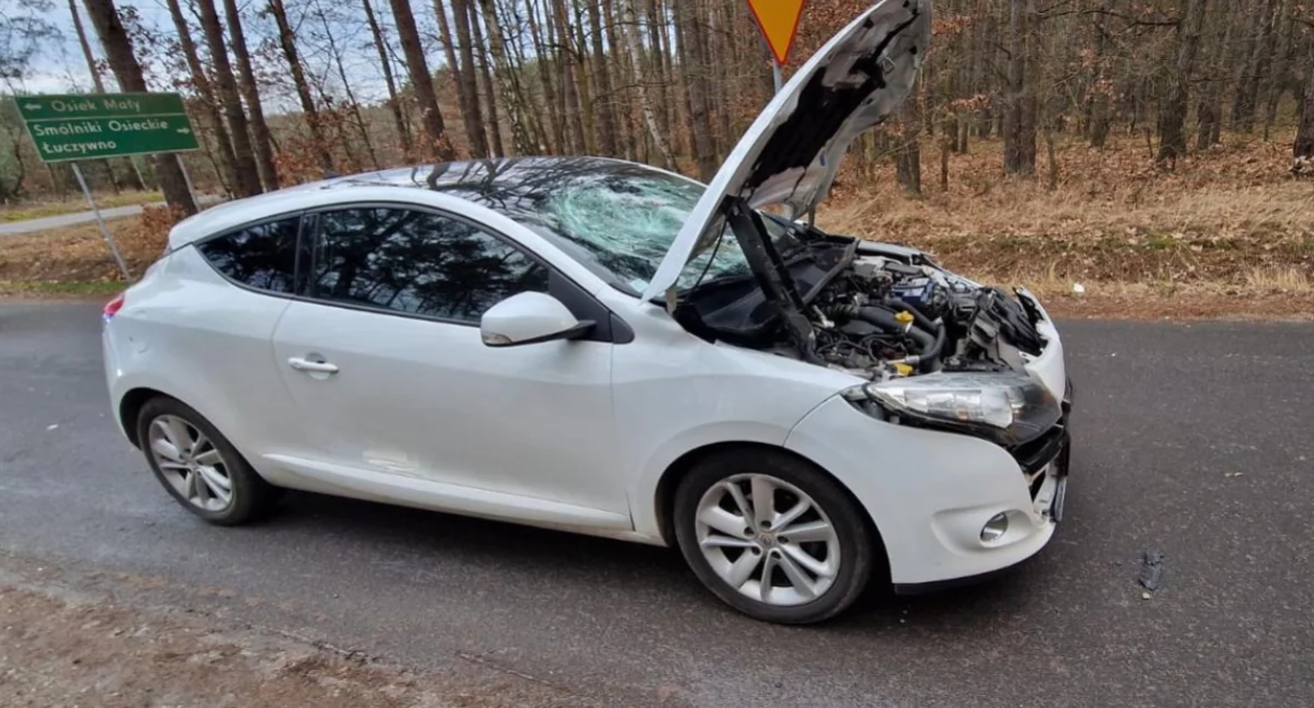 Wypadek drogowy w miejscowości Żeromin
