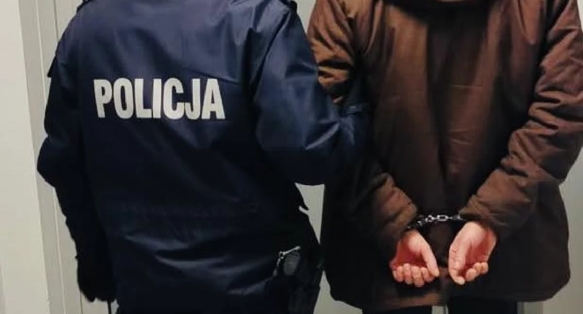 Siedem osób zatrzymanych w akcji “Poszukiwany”