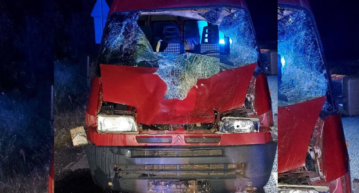 Zderzenia samochodu osobowego z łosiem. Dwie osoby w szpitalu