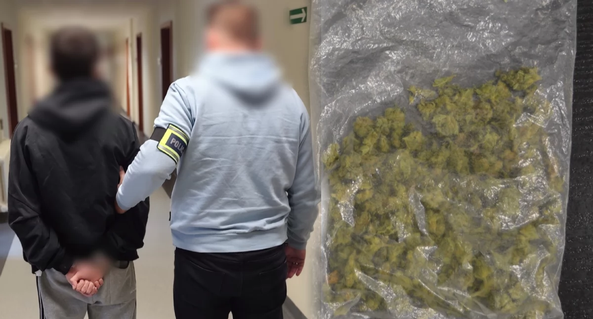 Policjanci z Konina zatrzymali pięć osób za narkotyki, w tym dwie z marihuaną