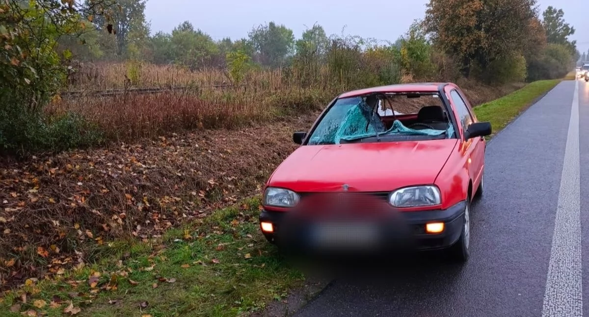 Zderzenie z sarną na drodze. Kierowca trafił do szpitala