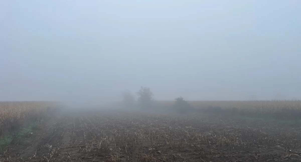 Gęste mgły w regionie konińskim! Kierowcy, zachowajcie ostrożność