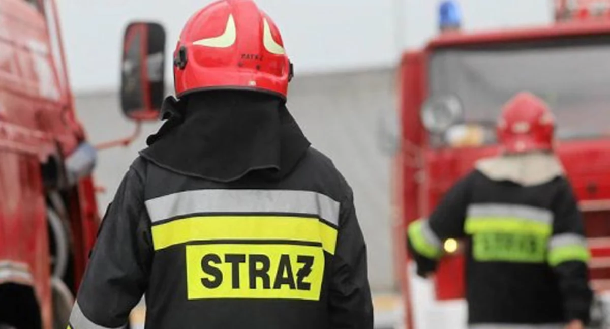 Tragiczny pożar altany w Koninie, wewnątrz znaleziono zwęglone ciało