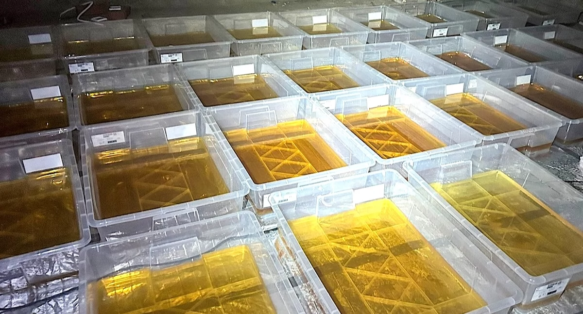 CBŚP rozbiło sieć laboratoriów narkotyków syntetycznych – zatrzymania także w powiecie konińskim. Zabezpieczono ponad 1200 kg klofedronu