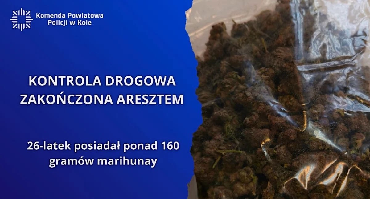 Zatrzymanie w Kole - 26-latek z ponad 160 g marihuany tymczasowo aresztowany