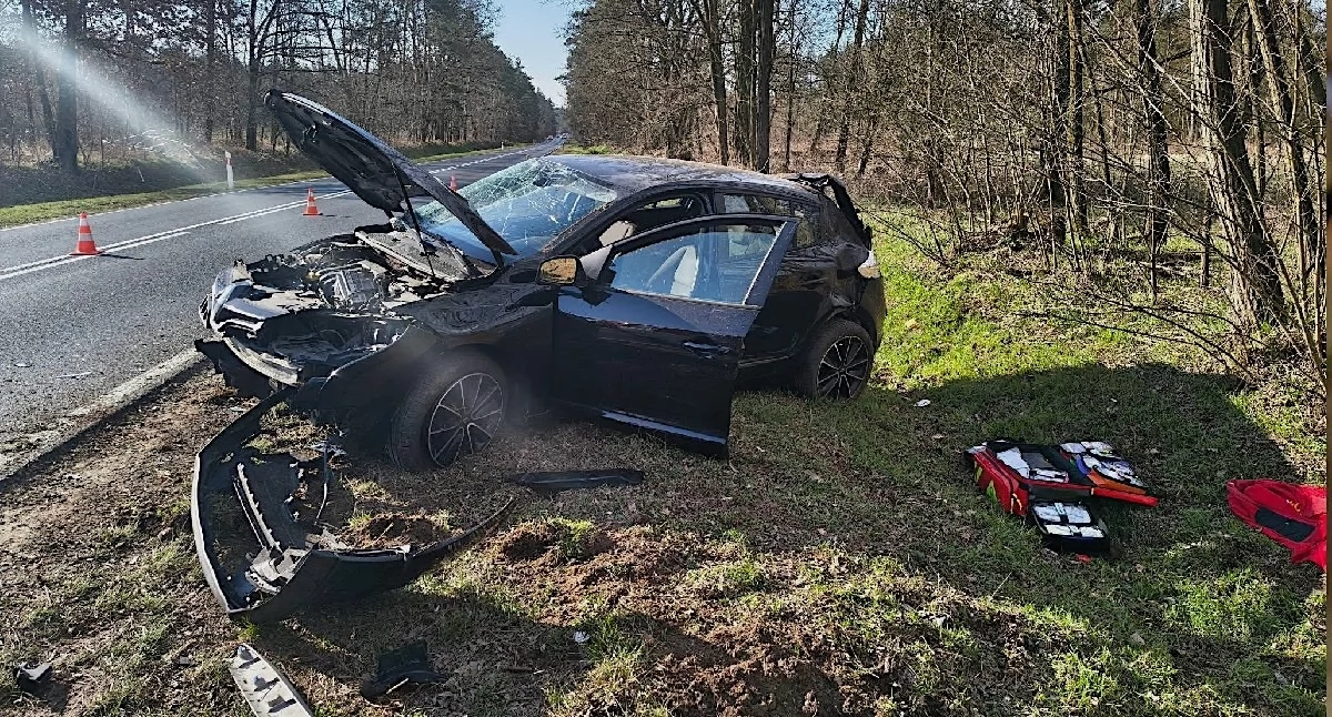Wypadek w Kamienicy Majątek – 35-latka zjechała z drogi, chcąc ominąć zwierzę