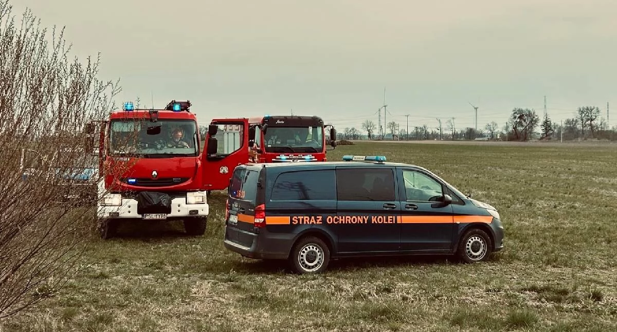 Tragedia na torach w Kluczewnicy koło Słupcy. Mężczyzna zginął po potrąceniu przez pociąg